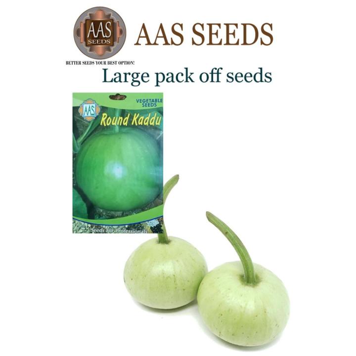 Seeds%20vegetable%20Bottle%20gourd%20round%20(kaduu%20gool%20)%20summer%20vegetable%20seeds%20-%20Image%203