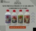 NEW PHENYLE PRODUCT AVAILABLE IN 4  DIFFERENT FLAVORS Super Active concentrated perfumed phenyl,Mopping Floors and Surfaces Shines the floor Leaves behind a long lasting fragrance, Cleaner & Disinfectant, Multipurpose for moping of kitchen. 