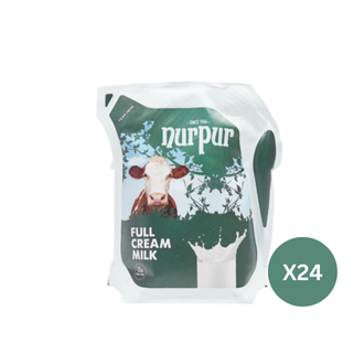 Nurpur Full Cream Milk 125ml Pack of 24 – Creamy Goodness in Convenient Mini Packs