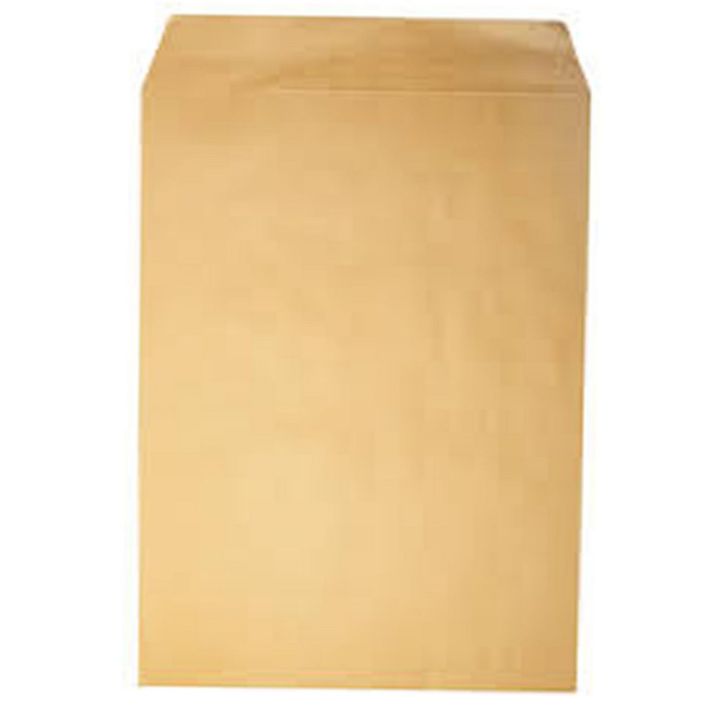 A4 Size Envelope / Office Envelop / Document Envelope /  Brown Envelop /Khakee Colour Envelope / Mail Envelop (50 Pcs)