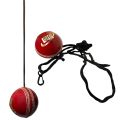 Cricket Hanging Hard Ball with Rope for Bat Stroke Knocking Batting Practice and Middling Cricket Batting Drives by easily  alls for Kids Personal and Professional Practicing Use | Pack of 1 Hanging Cricket Ball | String Cricket Balls | Hand Eye Coordinat. 