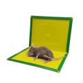 Pack of 1 Sticky Board Mouse Trap Glue Board Reusable Mouse Trap very easy to catch mouse now | Mouse Trap Mat | Mouse Glue Trap | Sticky Board Mice Glue Trap | Mouse Rat Glue Trap | Rat Trap | Mouse catcher. 