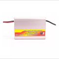 10amp Automatic Intelligent Battery Charger 12V 10A with Protection. 