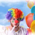 1pcs Crazy Clown Clown Clown Fancy Dress Clown Hair Clown Afro Circus Costume Nose. 