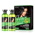 LICHEN Professional Natural Black Hair Color Gel with Argan Oil, Long-Lasting, Gray Hair Coverage, 500ml. 