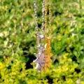 Couple Necklace Magnet You Are My Sun Shine Pure Made By Steel Color Warranty Never Fade For Boy/Girls Man / Women. 