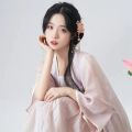Chinese Hanfu Hair Accessories Set Hair Clip Hairpins Haircomb Bridal Headdress Retro Wedding Hair Accessories Headwear Gift. 
