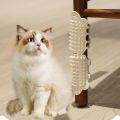 Pet Cat Face Scratchers Cleaning Massage Comb Pet Cat Brush Kitten Grooming Self Cleaning Corner Table Legs Scratcher CombsYULING. 