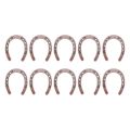 20Pcs Good Lucky Horseshoe Wedding Favors with Kraft Tags Rustic Horseshoe Gifts for Vintage Wedding Party Decorations. 