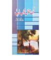 Ek Junoon Khwab Tarb By Ushna Kausar Sardar. 