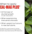HYDROPONICS CAL MAG PLUS 100 ML. 