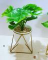 Ceramic pot with plant and metallic stand. 