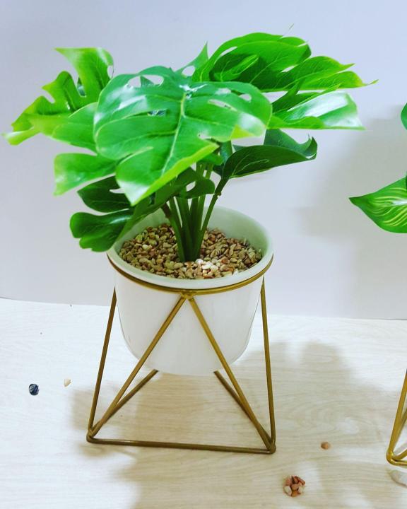 Ceramic%20pot%20with%20plant%20and%20metallic%20stand%20-%20Image%204