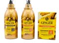PAJIANI Ginger Organics Care Creamy Hair Mask 800ml. 