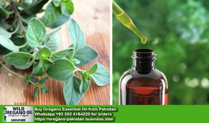 Oregano%20Essential%20Oil%20Pakistan%20-%20Image%207