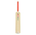 Plastic Cricket Bat For Kids Size 1 Number. 
