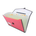 TRANBO Plastic Expanding Bag File Folder with 13 Section Pockets, Foolscape Size. 