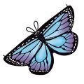 Butterfly Wings Kids Butterfly Dress Up Wings Girls Fairy Wings Toddler Dress Up Costume Rainbow/Blue Butterfly Wing Fairy Shawl. 