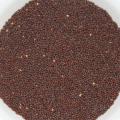 Mustard Seeds (Sarson) 100% Pure Seeds For Kitchen Gardening. 