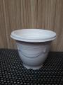 Set of 6 Cute plastic Pots for Seedling Cactus Succulent Flower pot. 