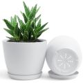 Fast Forward Small Decorative Flower Pots with Drainage - Plastic Planters for Indoor Plants, Flowers, Cactus, and Succulents Set of 2 different Size (without Plant). 