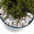 Fish Tank Gravel Rocks Marble Chips Gravel Stones Aquarium Natural Gravel white Colour For Garden Plant Decor, Decorative Rocks Stones 1 KG. 