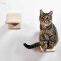 Cat Stairway Wall Mounted Ladder Cat Climbing Shelves for Resting Indoor Climbing. 