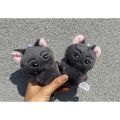 Kpop Idol ENHYPEN Jay American Cat Doll Keyring Plush Dolls Stuffed Toys. 