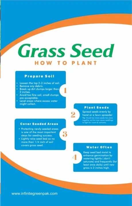 Lawn%20Grass%20Seeds%20(Bermuda%20Grass)%20imported%20seeds%20from%20Netherlands%2050%20gram%20for%2025%20square%20feet%20,%20100%20Gram%20for%2050%20Square%20feet.%20-%20Image%202