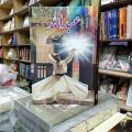 Abdullah 1 Novel By Hashim Nadeem. 