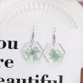 Dried flower transparent acrylic geometric resin earrings temperament personality stud earrings for gilrs for women low price. 