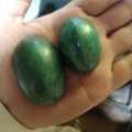 Real stone froza. 