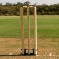 Hard Ball Cricket Spring Back Cricket Stumps – 28in Senior Stumps – Freestanding & Portable. 