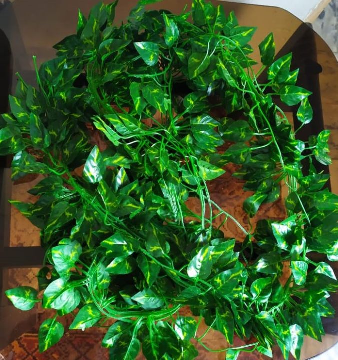 Artificial%20Money%20Plant%20Leaf%20Bale%207%20feet%20/%2084%20inches%20Length%20-%20Wall%20Hanging%20Decoration%20-%20Artificial%20Garland%20Plant%20Leaves%20Green%20Colour%20for%20Office%20%20Home%20%20Room%20decoration%20-%20Image%202