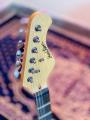 Electric Guitars Biggest Collection ( Real Pics Attached ) Discount Offer For Limited Time. 