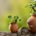 6 Pcs/set Small Mini Clay Pots Tiny Terra Cotta Pots Small Flower Pots Pottery Planter for Indoor Outdoor Plants DIY Craft Desktop Windowsill. 