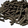 FILFIL LONG PEPPER 100 Gm. 