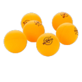 Shield Table Tennis Balls – Pack of 6 Lightweight Ping Pong Balls – Durable, High-Bounce Table Tennis Balls for Training, Practice & Tournament Play – Standard Size & Weight – Indoor Outdoor Sports Equipment for All Levels. 