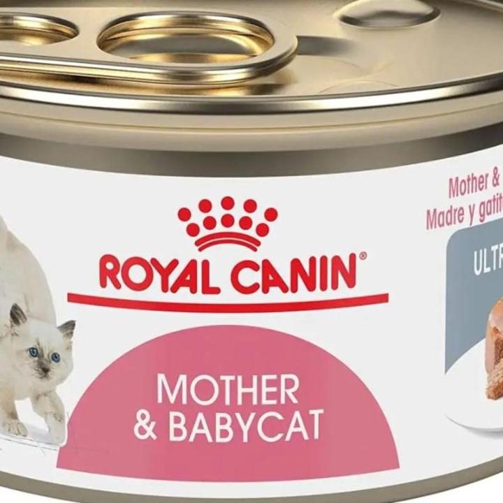 Babycat Ultra Soft Mousse Wet Cat Food Kittens and Nursing Pregnant Mother Cats