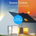 Touch Switch - Smart Switch - Glass Touch Panel - Compatiable with iOS / Android -Compatible with Alexa / Google Assistant - No Hub Required - Black / 1 gang. 