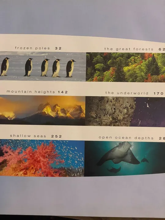 BBC%20Books%20Planet%20Earth%20-%20Image%203