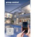 Smart wifi switch for electric gate door lock - only switch lock not include - 220V - share with family - timer & schedule. 