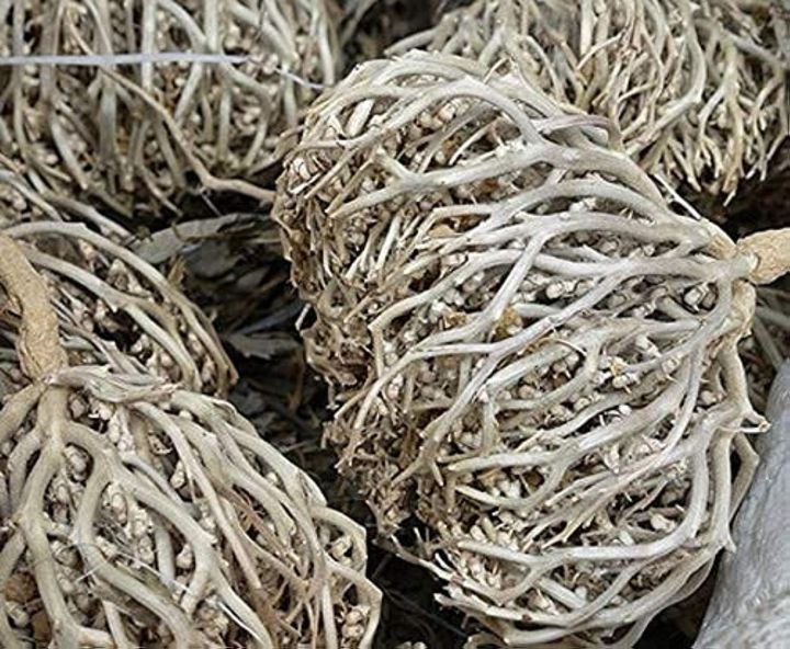 Maryam%20Booti%2010G%20-%20Image%204