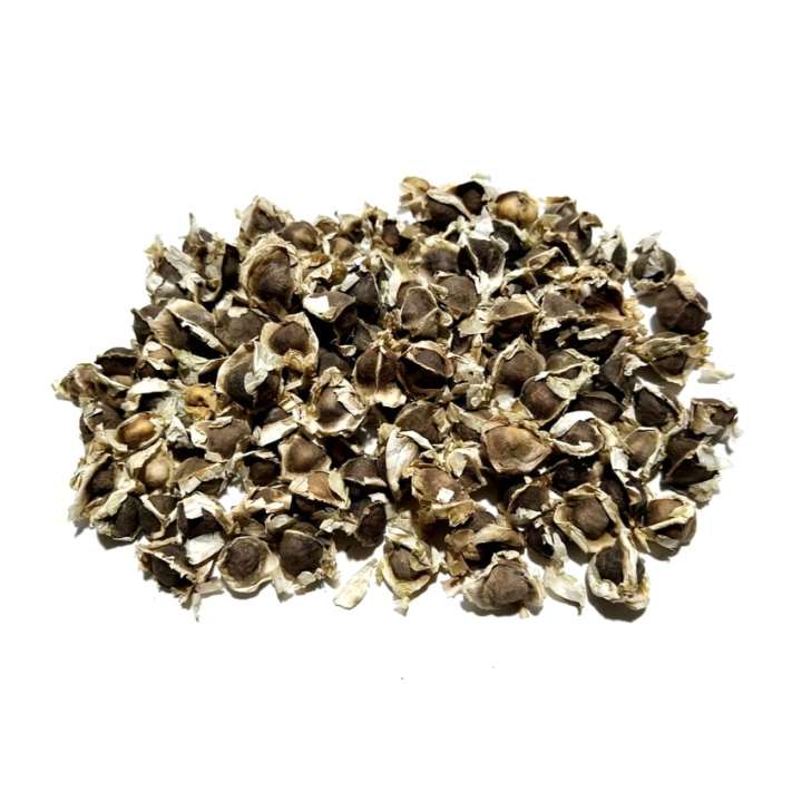 Pack%20of%2010%20Moringa%20Seeds%20100%20percent%20germinate%20Sohanjna%20Tree%20Plant%20Flower%20-%20Image%209
