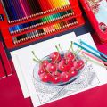 FaberCastell's Classic Color set of 60pcs/100pcs color pencil. 