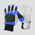 Glove - Indoor Cricket Batting Gloves And Winter Use. 