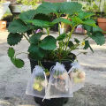 20PCS Grape Fruit Protection Bags Garden Drawstring Netting Mesh Bags Anti-Bird For Plant Fruit Trees Organza Bags. 