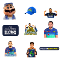 25pcs MULTAN SULTAN PSL sticker pack based on pakistani sport event tournaments cricket fans ideal for journalling guitar laptop. 