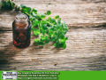 Oregano Essential Oil Pakistan. 