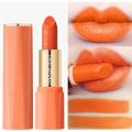 Orange Lipstick Waterproof Long Lasting Matte Lipsticks Resistant Lip Stick Velvet Lip Tint Women Cosmetic Lip Glaze Makeup. 
